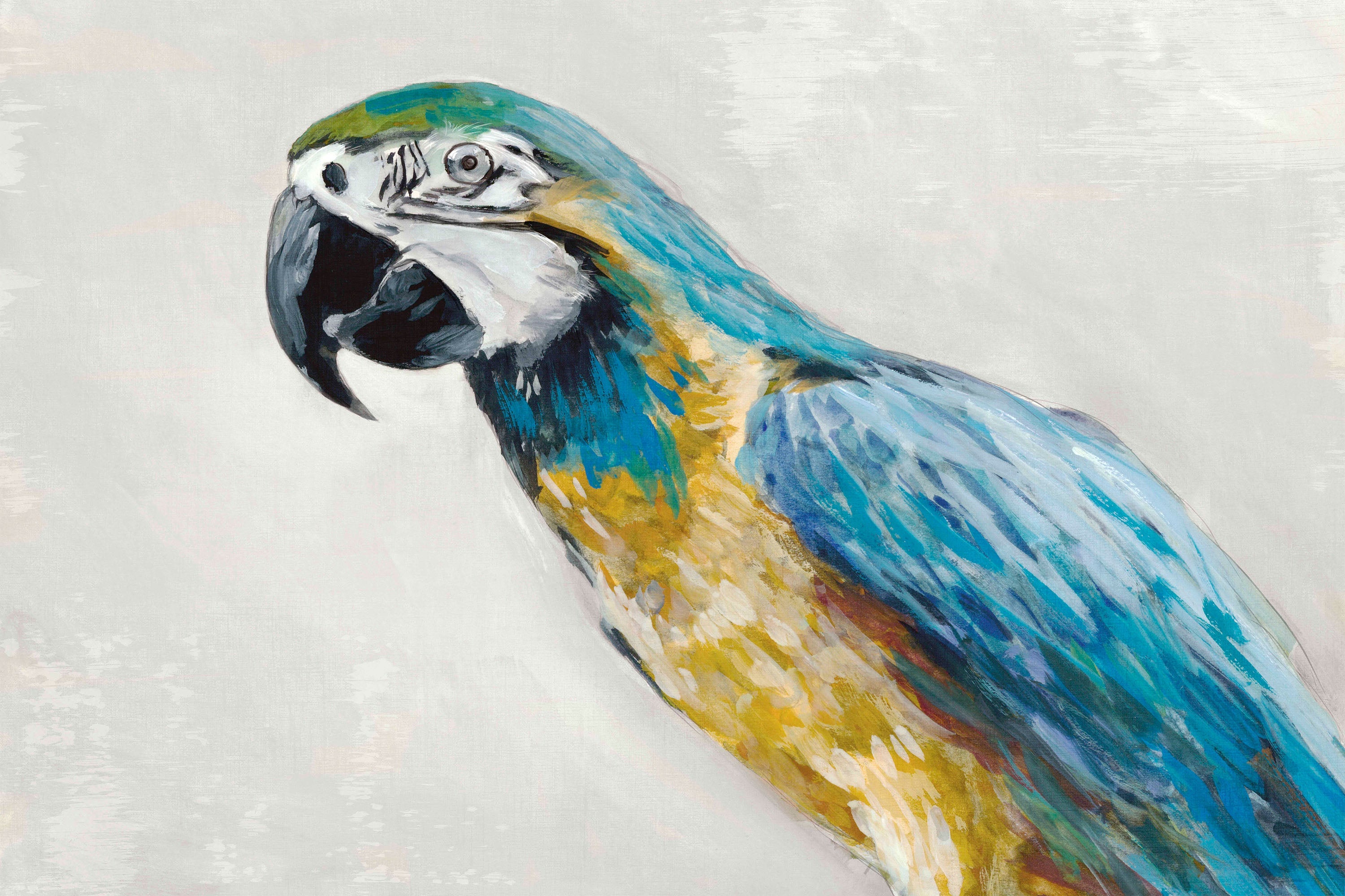 Polly-by-Jacob Q-wall-art-print-canvas-poster-framed-Gioia