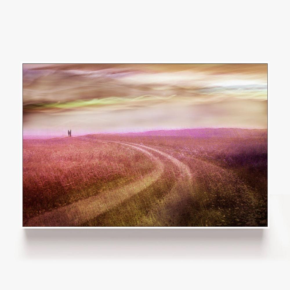 Romantic Field Path-by-Christina Sillen-wall-art-print-canvas-poster-framed-Gioia