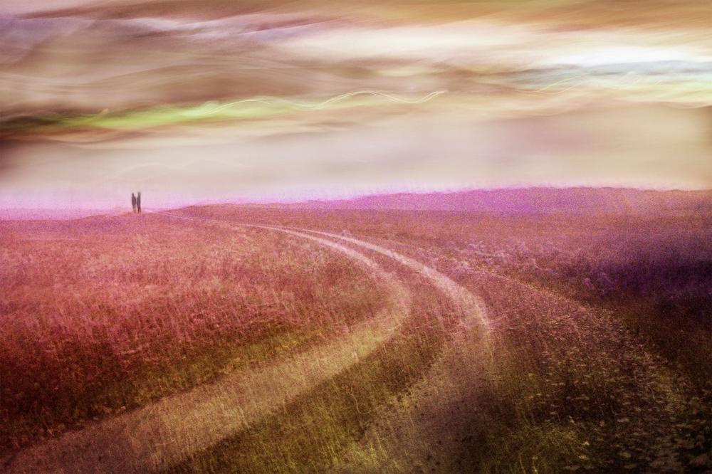 Romantic Field Path-by-Christina Sillen-wall-art-print-canvas-poster-framed-Gioia