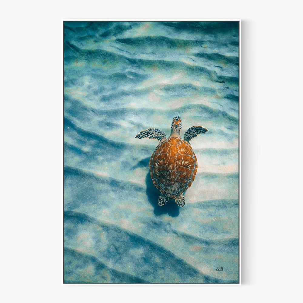 Sandbar Sea Turtle, Style A-by-Max Blakesberg Studios-wall-art-print-canvas-poster-framed-Gioia