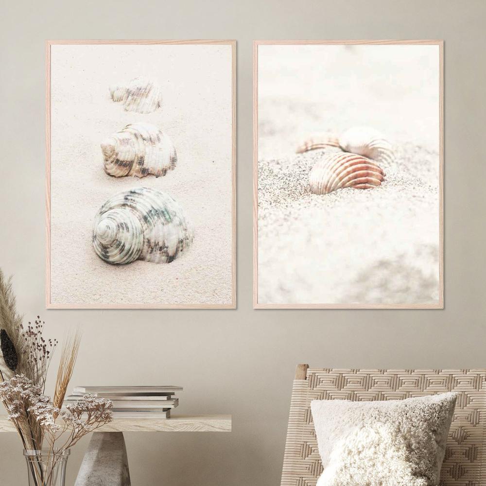Shells & Shells By The Beach, Set Of 2-by-Plus X Studio-wall-art-print-canvas-poster-framed-Gioia