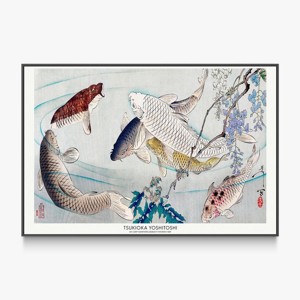 Six Carp Swimming Beneath Wisteria (1889)-by-Tsukioka Yoshitoshi-wall-art-print-canvas-poster-framed-Gioia