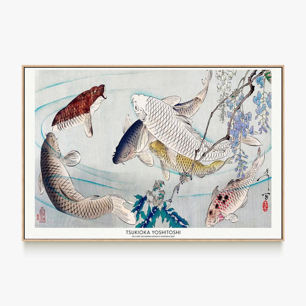 Six Carp Swimming Beneath Wisteria (1889)-by-Tsukioka Yoshitoshi-wall-art-print-canvas-poster-framed-Gioia