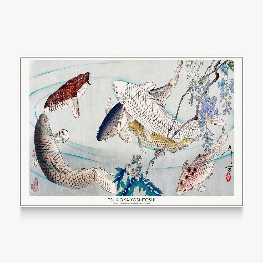 Six Carp Swimming Beneath Wisteria (1889)-by-Tsukioka Yoshitoshi-wall-art-print-canvas-poster-framed-Gioia