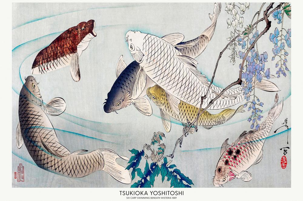 Six Carp Swimming Beneath Wisteria (1889)-by-Tsukioka Yoshitoshi-wall-art-print-canvas-poster-framed-Gioia