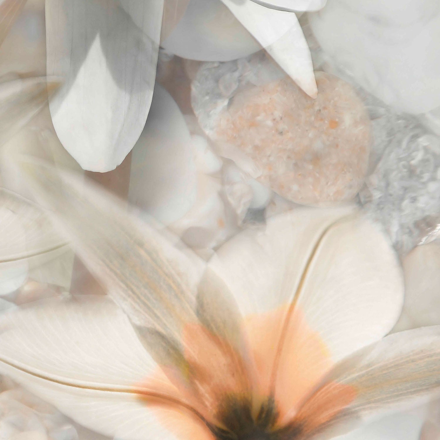 Softly Calling in White-by-Leda Robertson-wall-art-print-canvas-poster-framed-Gioia