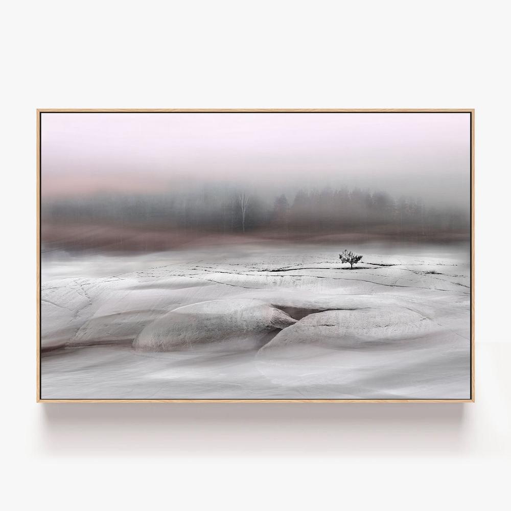 Solitary Winter Tree-by-Christina Sillen-wall-art-print-canvas-poster-framed-Gioia