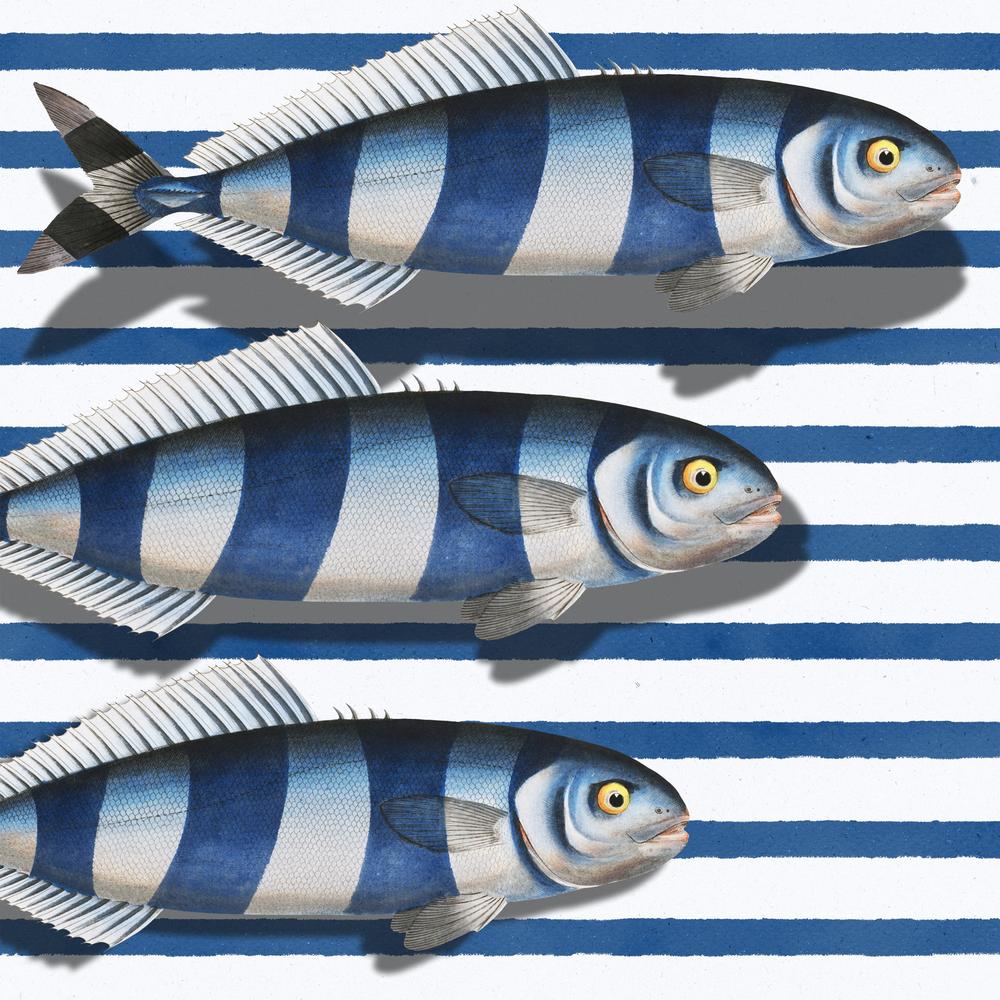 Striped Ocean Fish-by-Marja van den-wall-art-print-canvas-poster-framed-Gioia