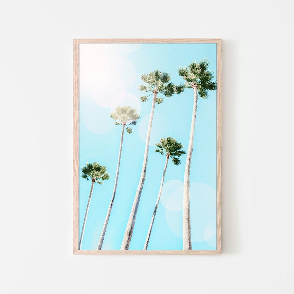 Summer Palms-by-Gal Pittel-wall-art-print-canvas-poster-framed-Gioia