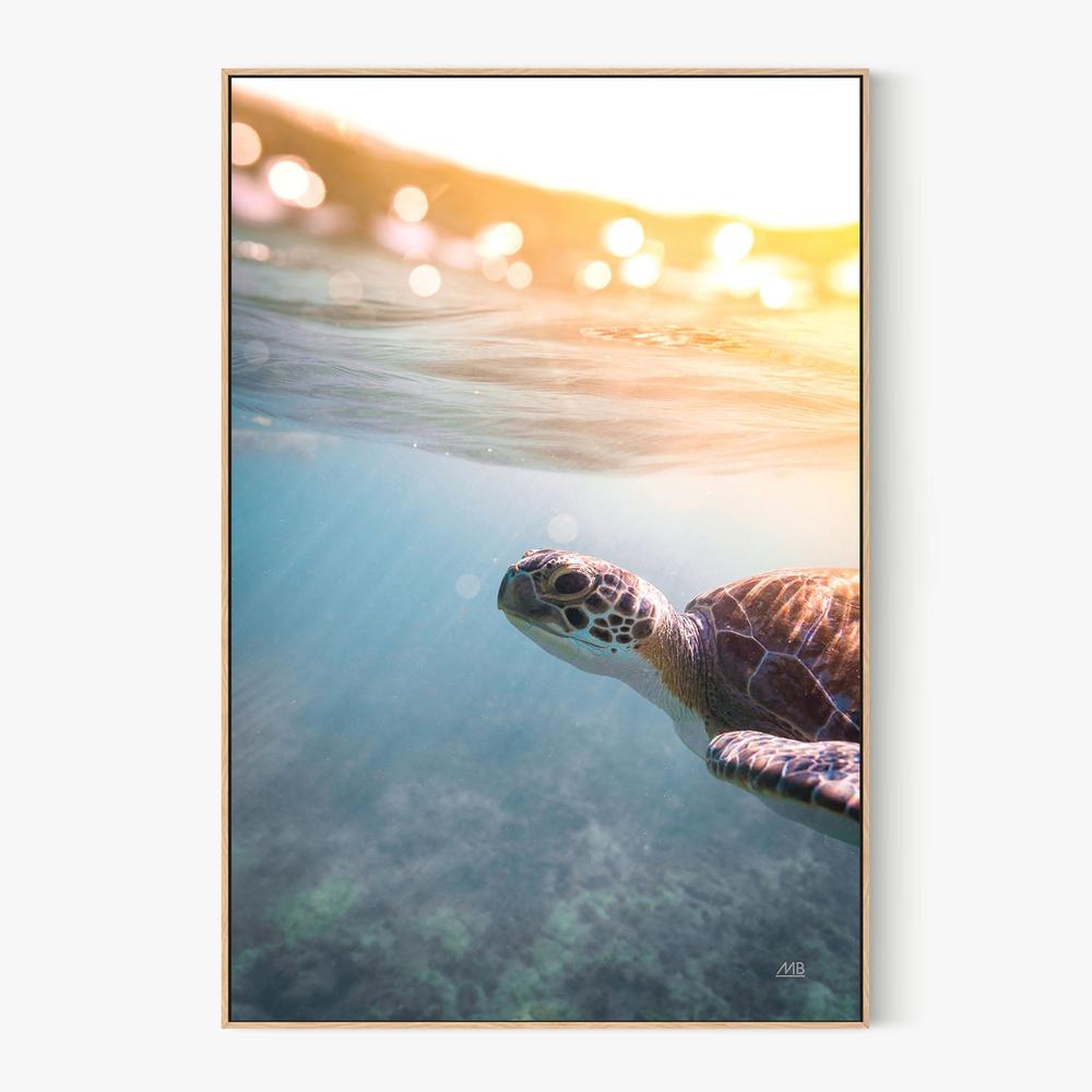 Sunny Swim-by-Max Blakesberg Studios-wall-art-print-canvas-poster-framed-Gioia