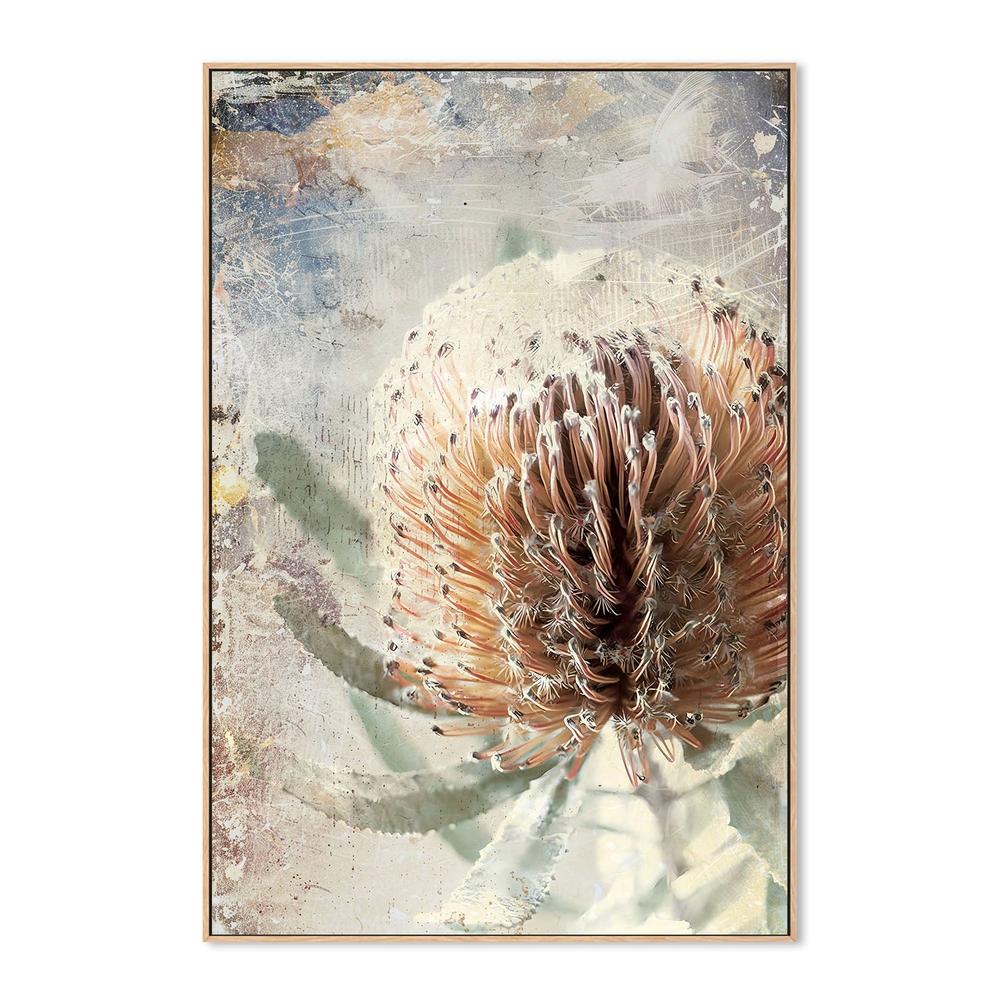 wall-art-print-canvas-poster-framed-Textured Banksia Flower-4