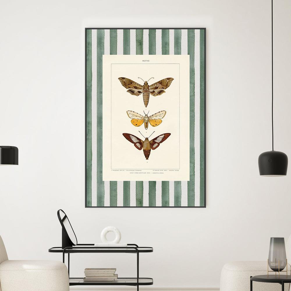 Vintage Moths Stripe, Style A-by-Wild Apple Portfolio-wall-art-print-canvas-poster-framed-Gioia