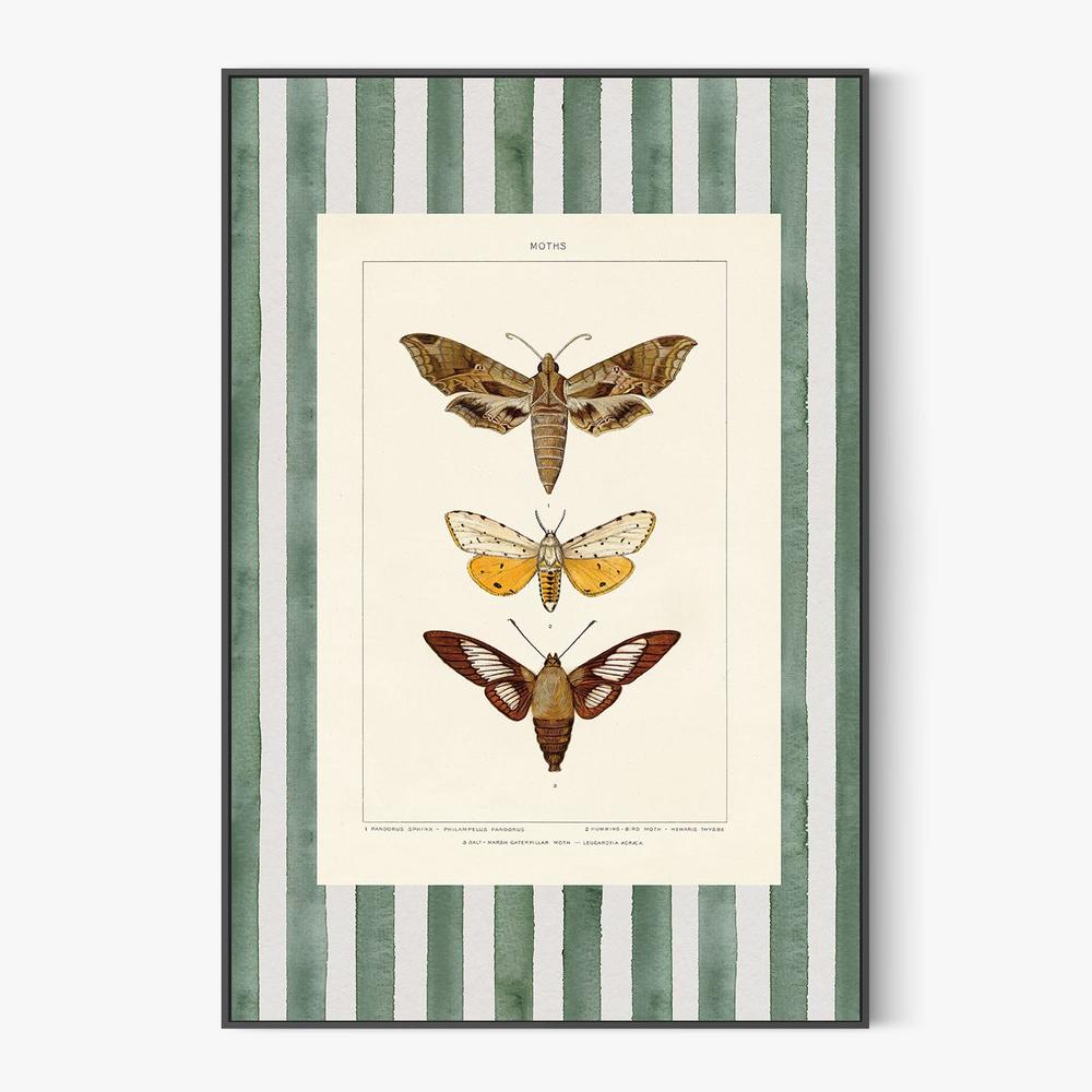 Vintage Moths Stripe, Style A-by-Wild Apple Portfolio-wall-art-print-canvas-poster-framed-Gioia