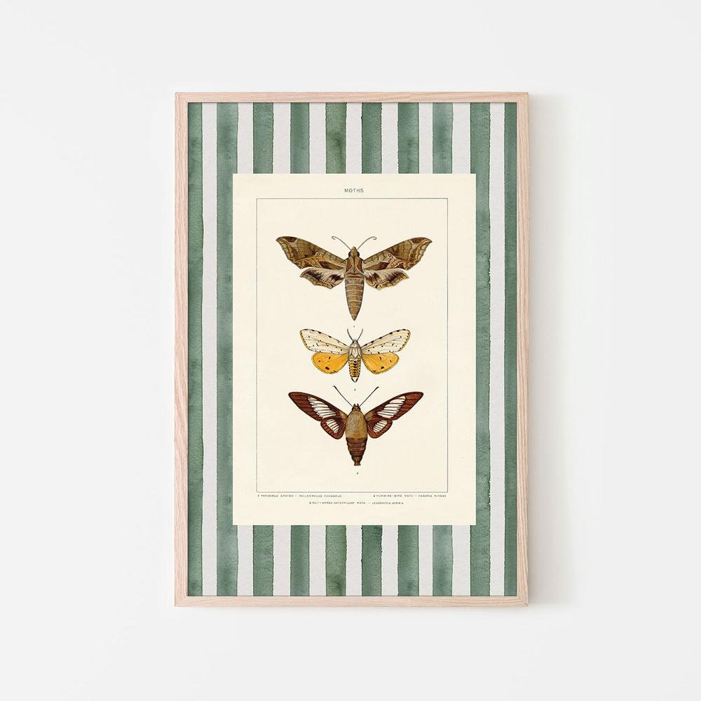 Vintage Moths Stripe, Style A-by-Wild Apple Portfolio-wall-art-print-canvas-poster-framed-Gioia