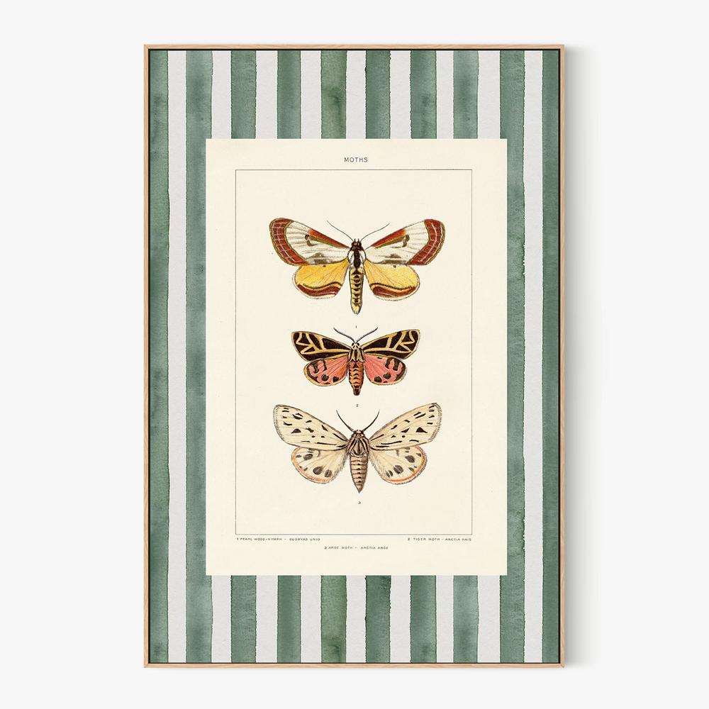 Vintage Moths Stripe, Style B-by-Wild Apple Portfolio-wall-art-print-canvas-poster-framed-Gioia