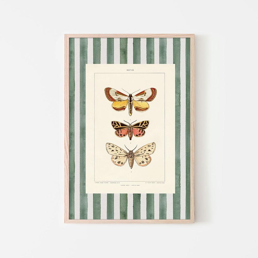 Vintage Moths Stripe, Style B-by-Wild Apple Portfolio-wall-art-print-canvas-poster-framed-Gioia