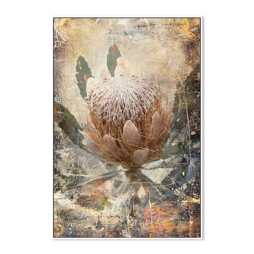 wall-art-print-canvas-poster-framed-Vintage Protea Bloom-5