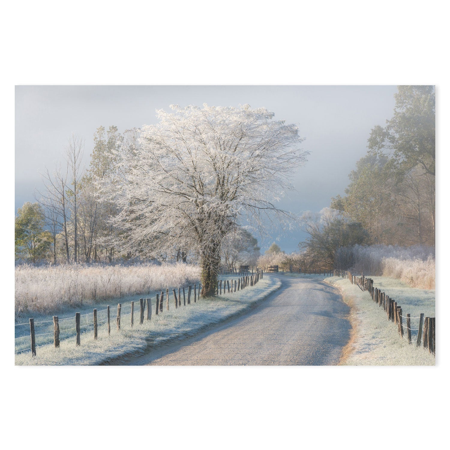 wall-art-print-canvas-poster-framed-A Frosty Morning, by Chris Moore-by-Plus X Studio-Gioia Wall Art