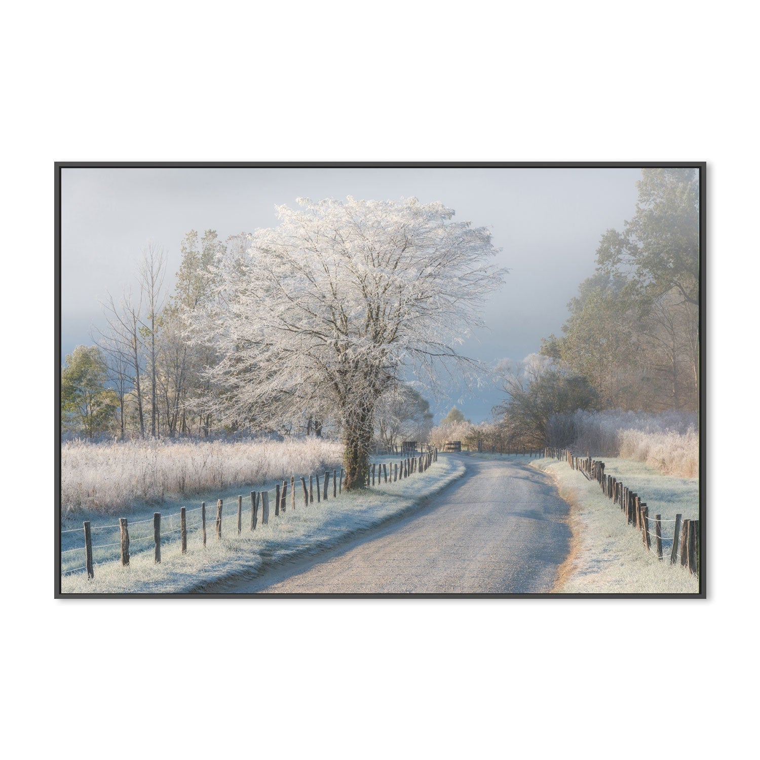 wall-art-print-canvas-poster-framed-A Frosty Morning, by Chris Moore-by-Plus X Studio-Gioia Wall Art