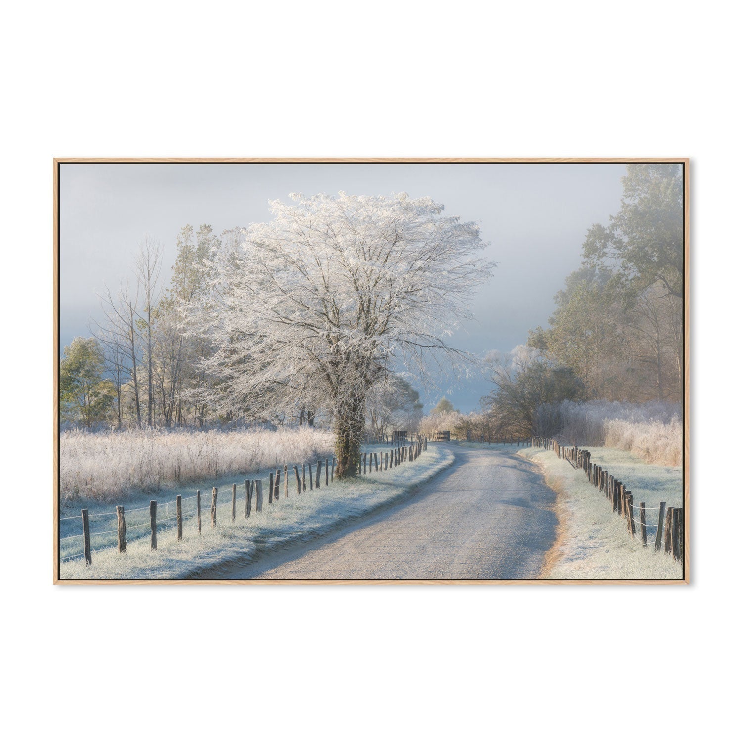 wall-art-print-canvas-poster-framed-A Frosty Morning, by Chris Moore-by-Plus X Studio-Gioia Wall Art