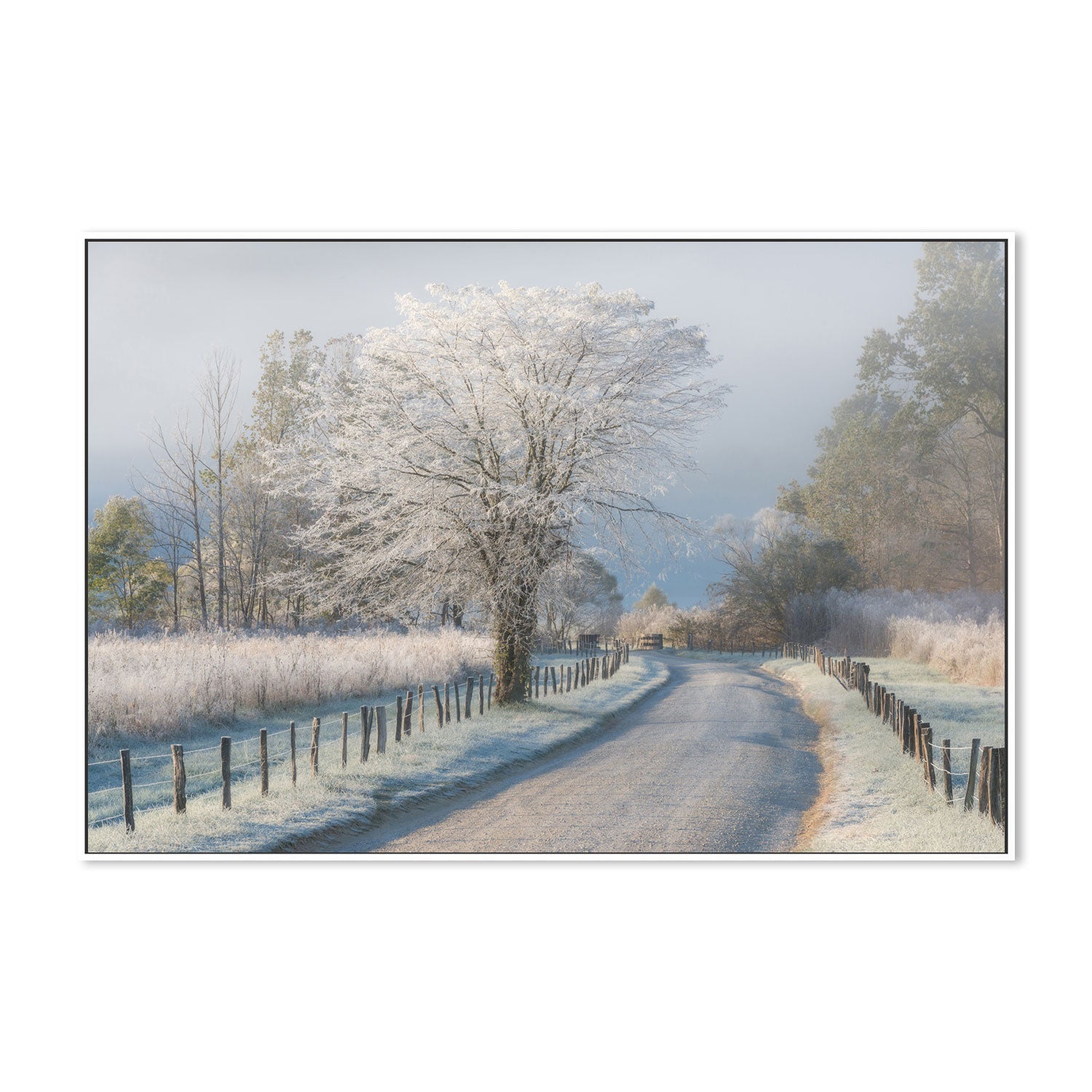 wall-art-print-canvas-poster-framed-A Frosty Morning, by Chris Moore-by-Plus X Studio-Gioia Wall Art