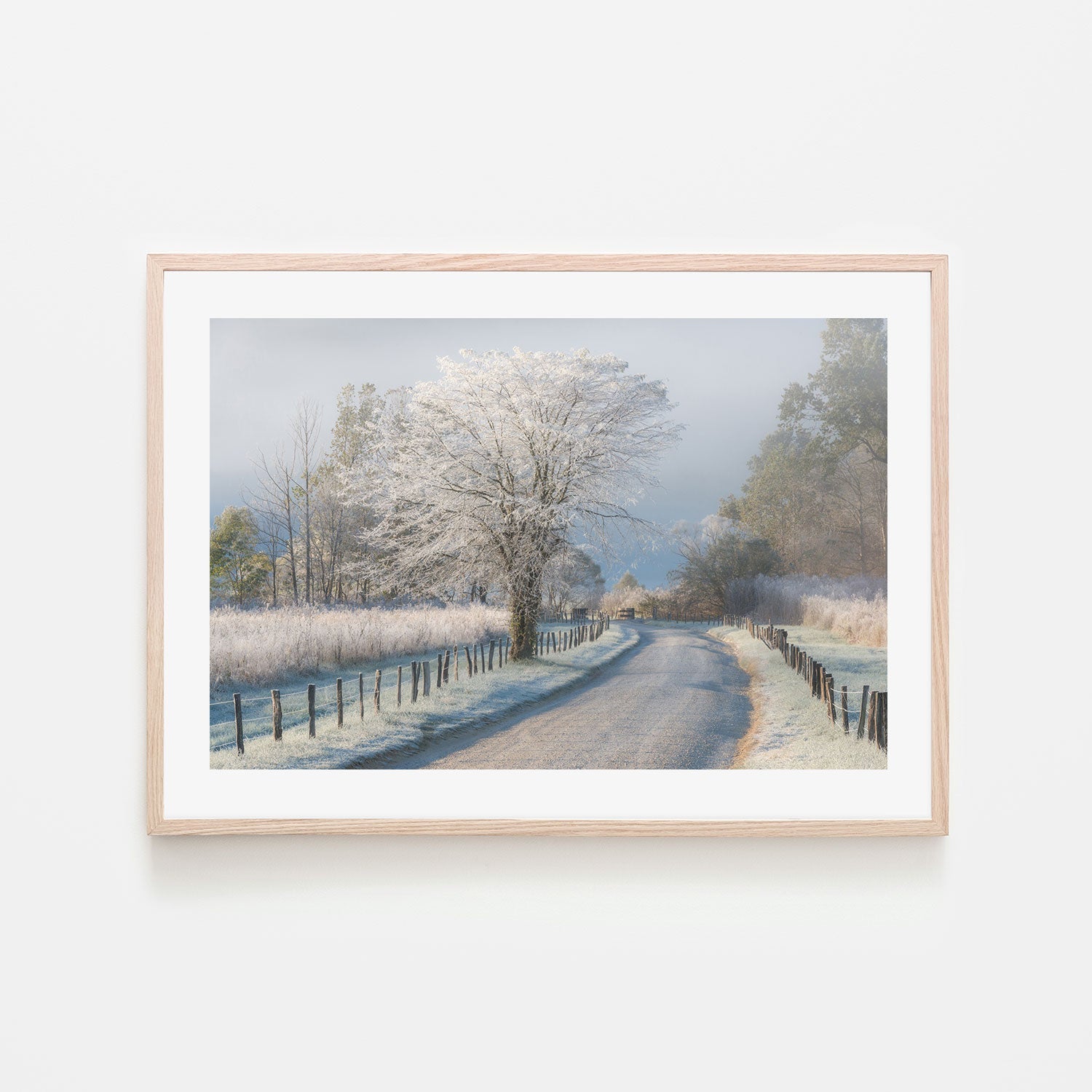 wall-art-print-canvas-poster-framed-A Frosty Morning, by Chris Moore-by-Plus X Studio-Gioia Wall Art
