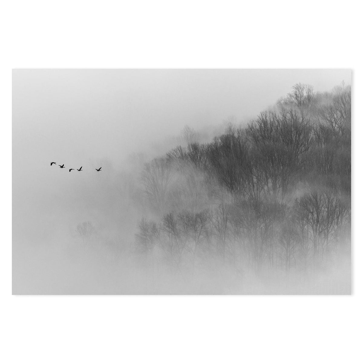 wall-art-print-canvas-poster-framed-Above Mist-GIOIA-WALL-ART