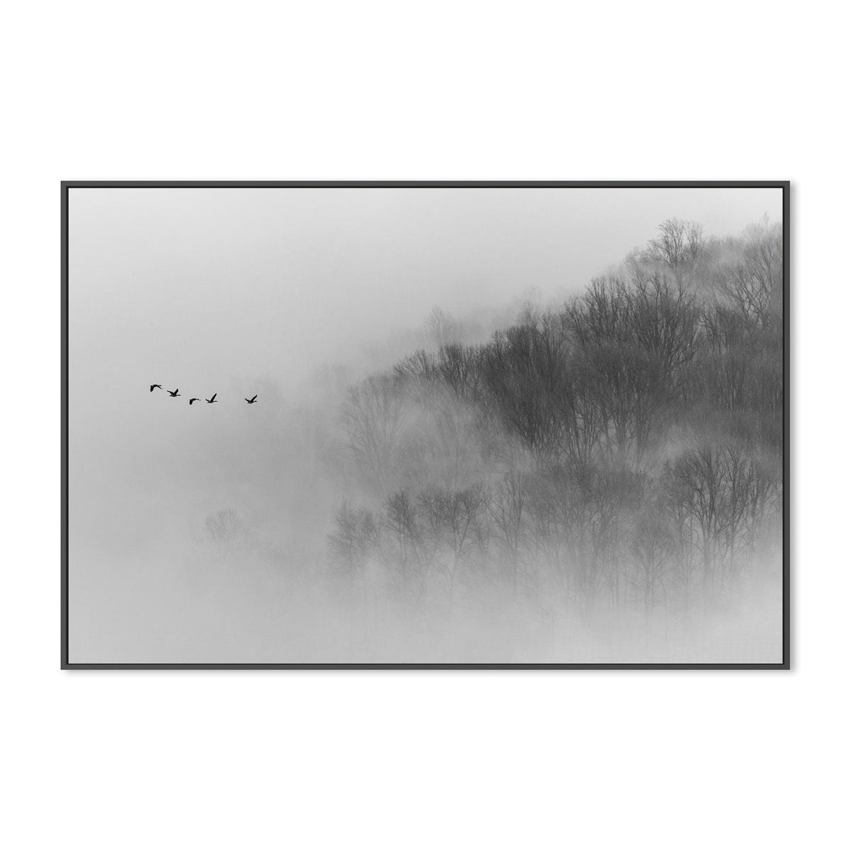 wall-art-print-canvas-poster-framed-Above Mist-GIOIA-WALL-ART