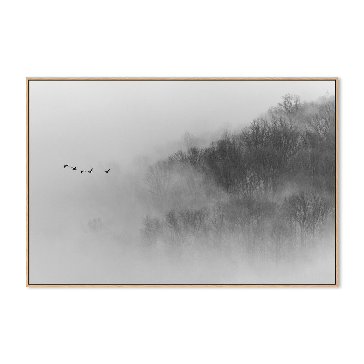 wall-art-print-canvas-poster-framed-Above Mist-GIOIA-WALL-ART