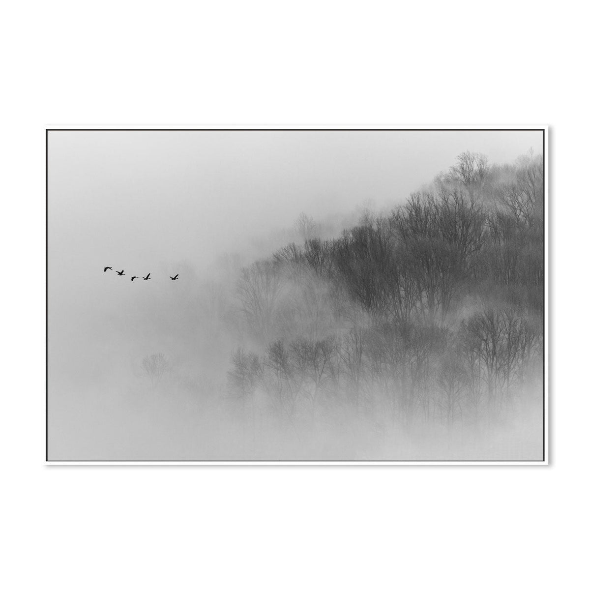 wall-art-print-canvas-poster-framed-Above Mist-GIOIA-WALL-ART