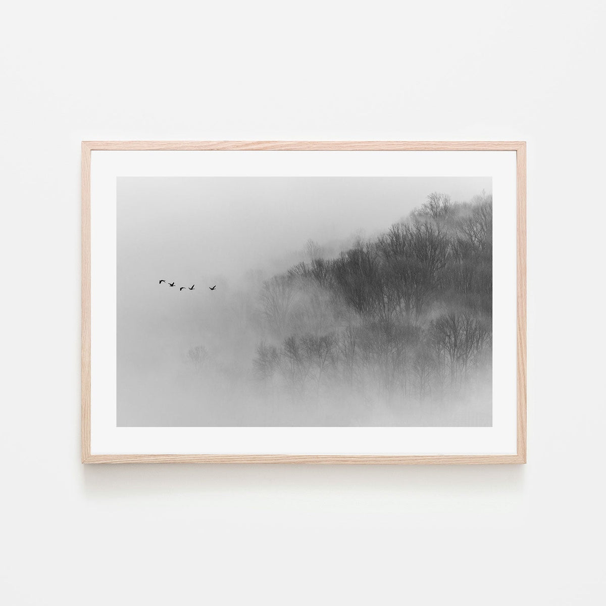 wall-art-print-canvas-poster-framed-Above Mist-GIOIA-WALL-ART