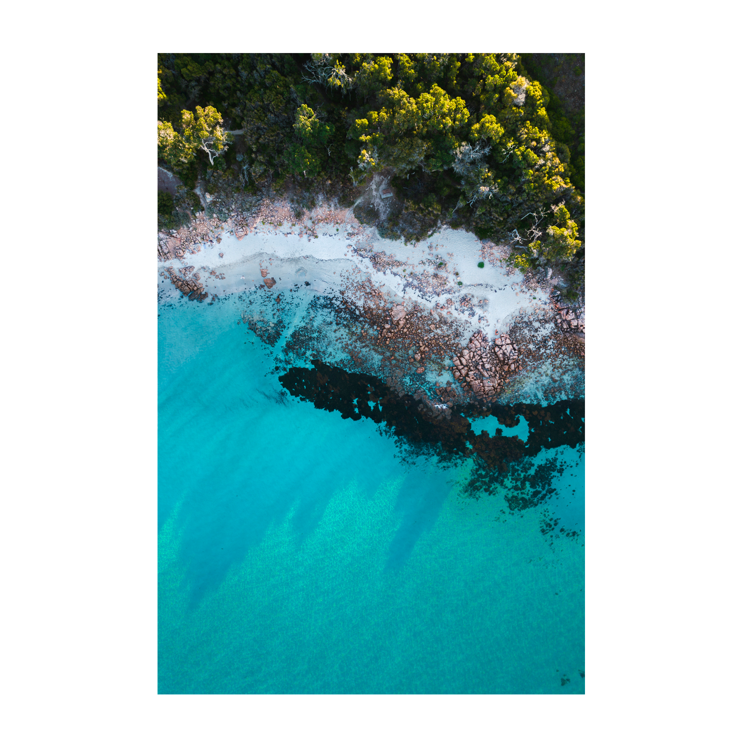 wall-art-print-canvas-poster-framed-Afternoon Shade, Dunsborough , By Maddison Harris-1