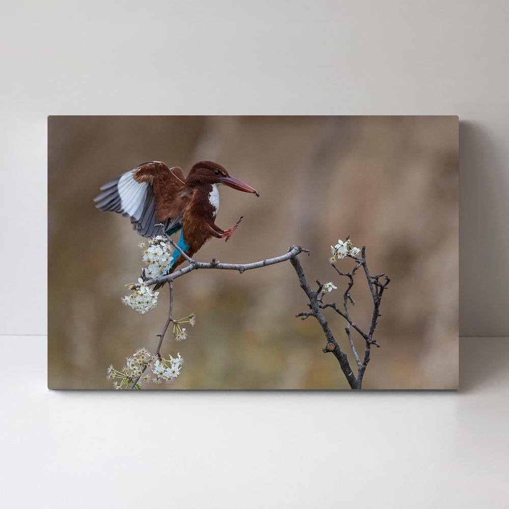 wall-art-print-canvas-poster-framed-All Most Landing, By Amnon Eichelberg-by-Plus X Studio-Gioia Wall Art
