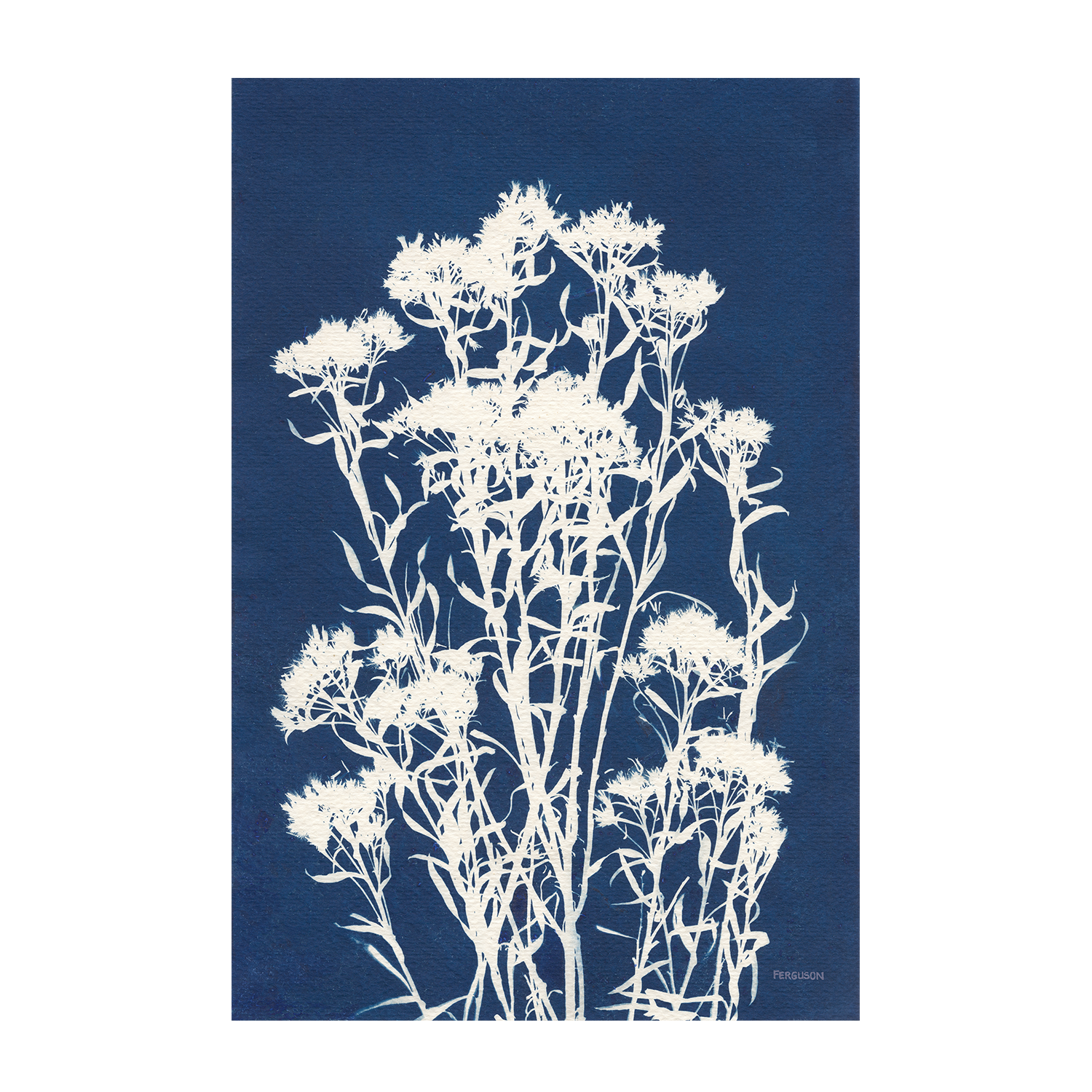 Alpine Flowers, Style B , By Kathy Ferguson