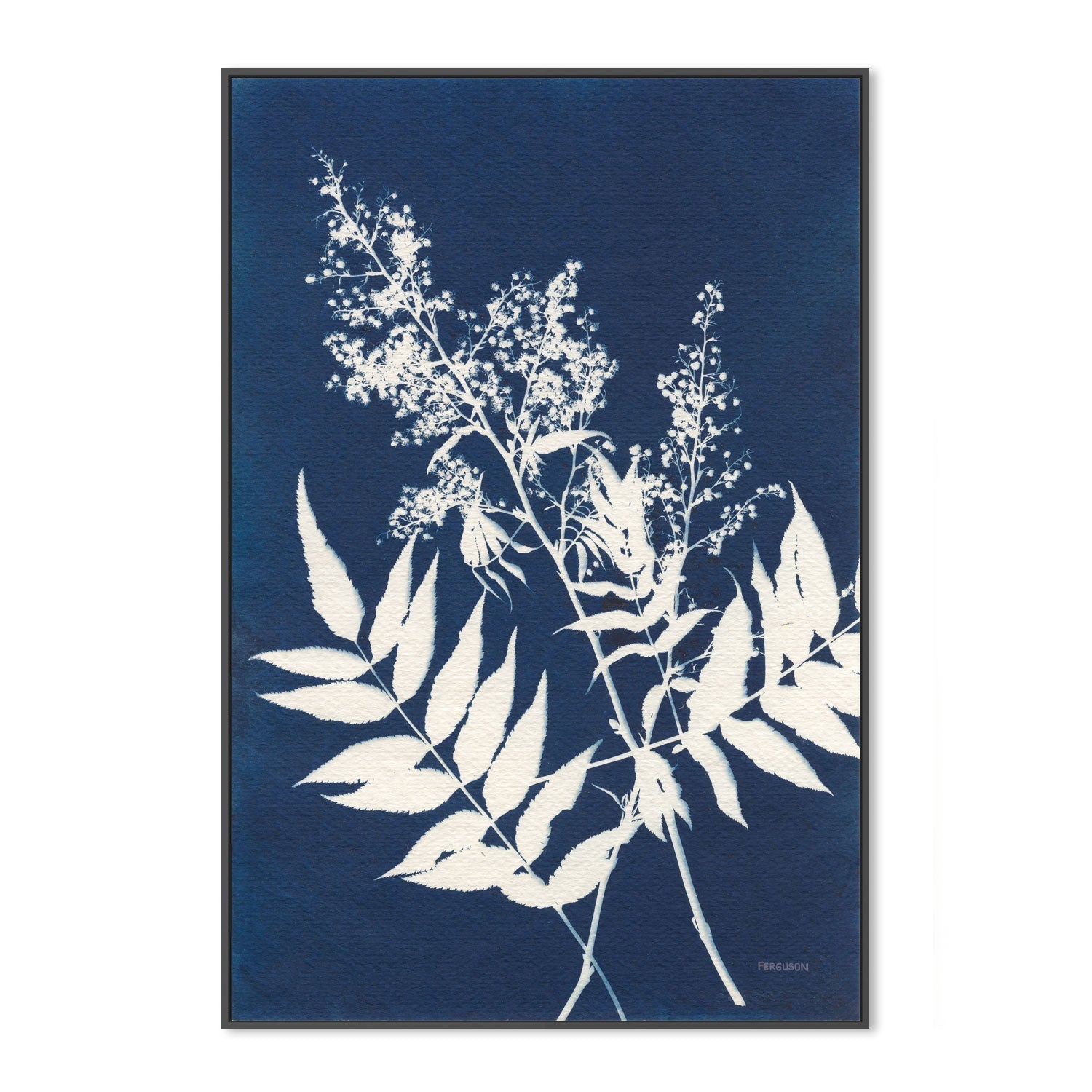 Alpine Flowers, Style C , By Kathy Ferguson