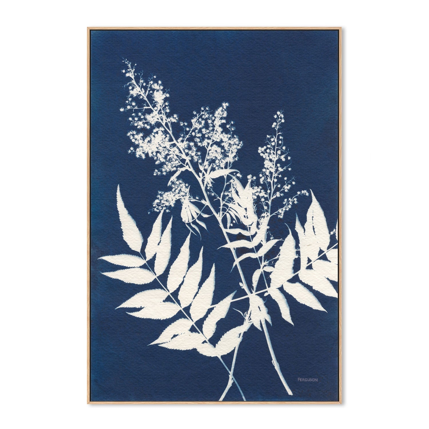 Alpine Flowers, Style C , By Kathy Ferguson