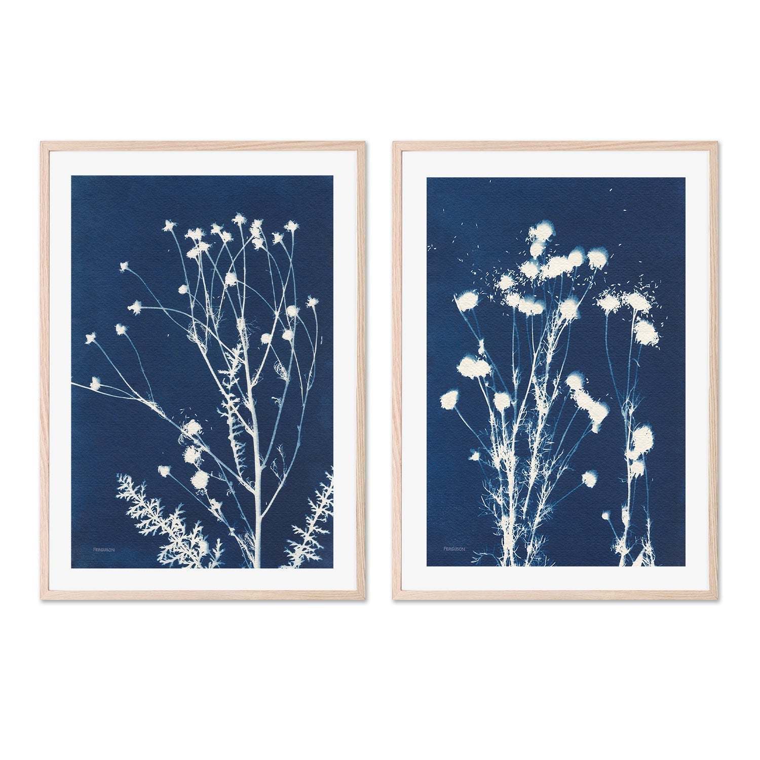 wall-art-print-canvas-poster-framed-Alpine Flowers, Style D & F, Set Of 2 , By Kathy Ferguson-GIOIA-WALL-ART