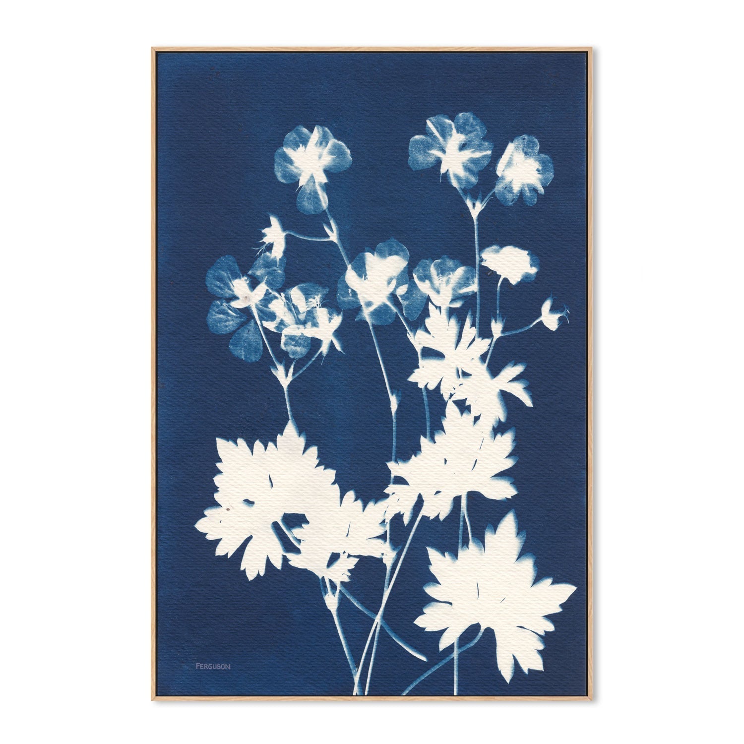 Alpine Flowers, Style E , By Kathy Ferguson