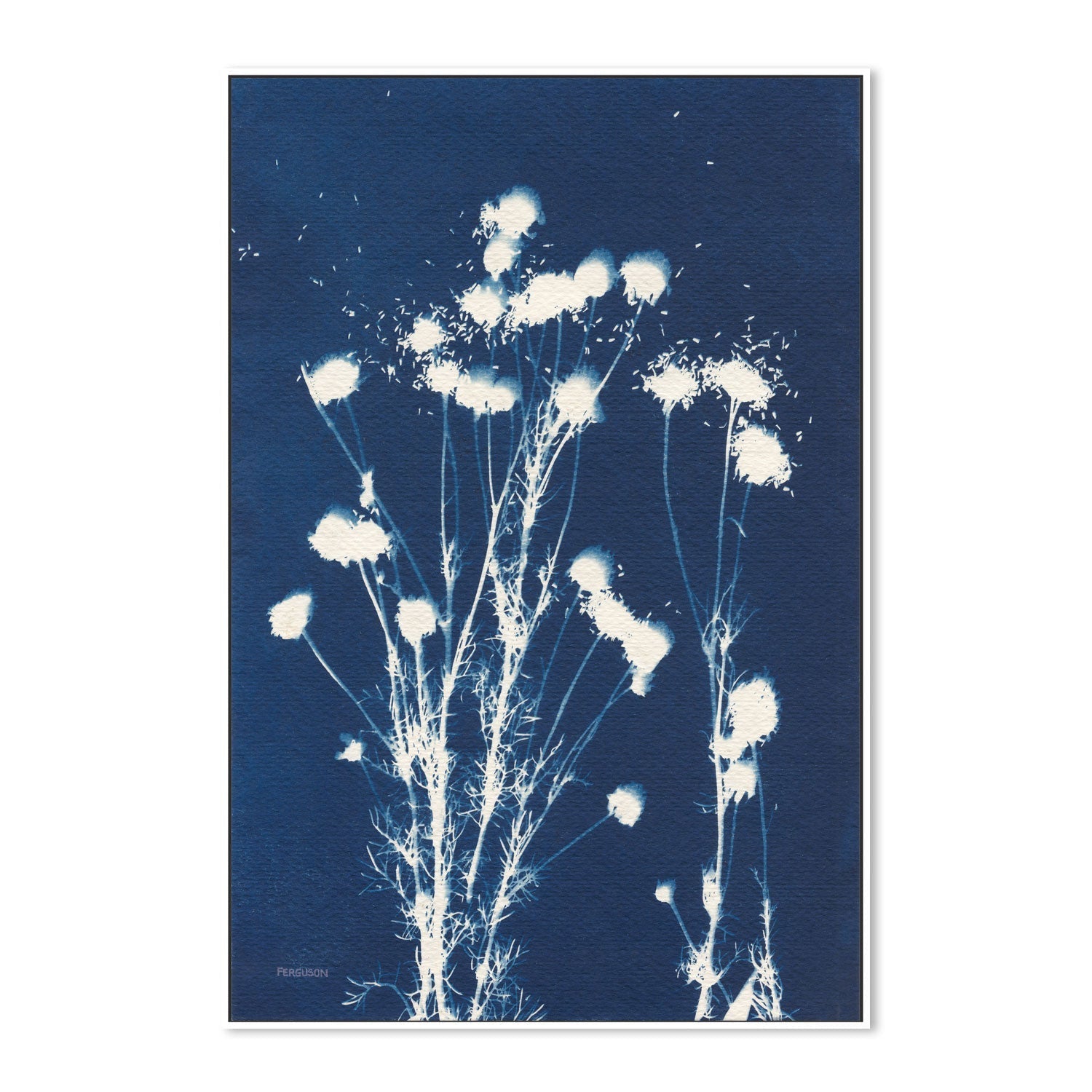 Alpine Flowers, Style F , By Kathy Ferguson