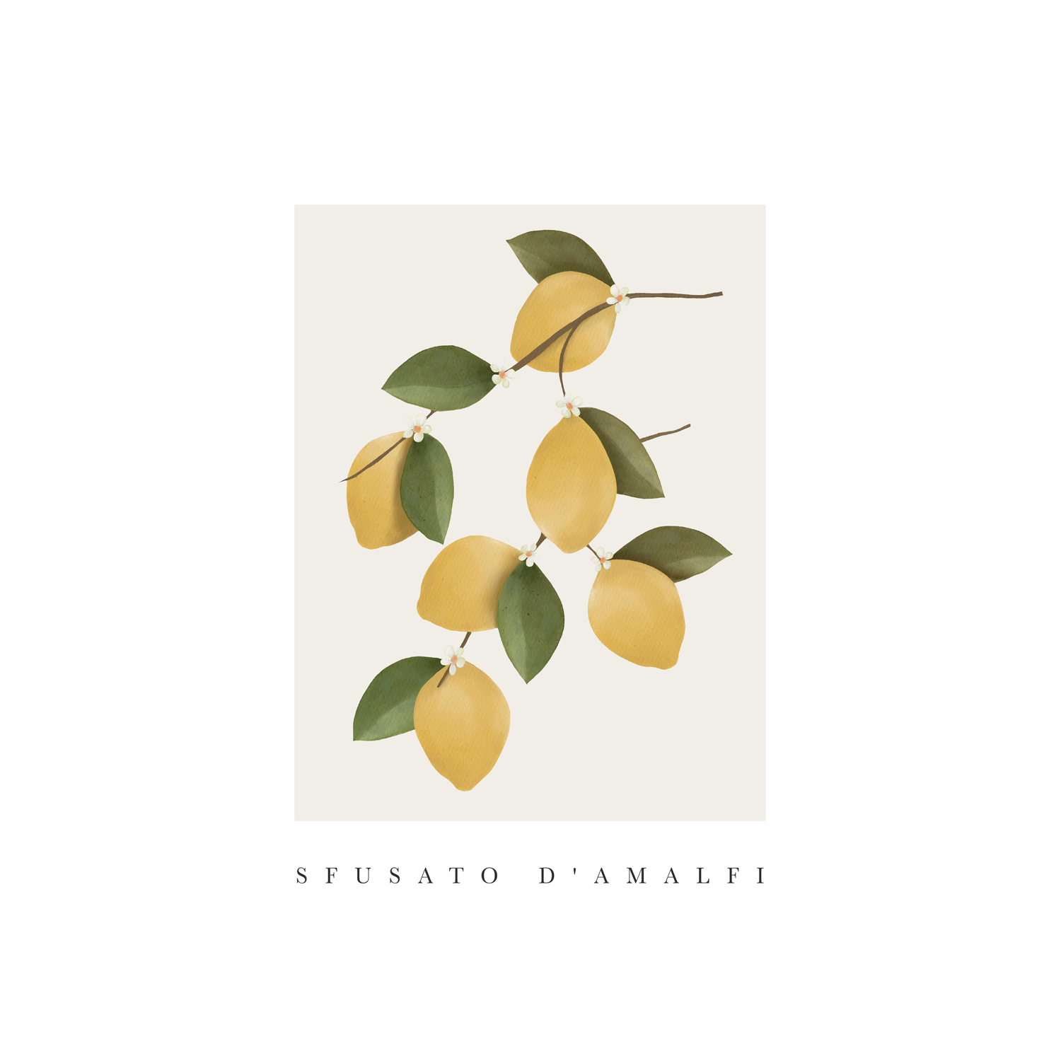 wall-art-print-canvas-poster-framed-Amalfi Lemons , By Leah Straatsma-1
