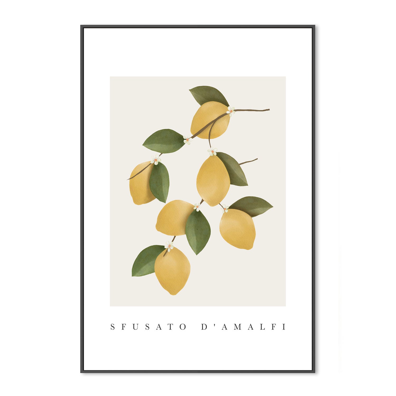 wall-art-print-canvas-poster-framed-Amalfi Lemons , By Leah Straatsma-3