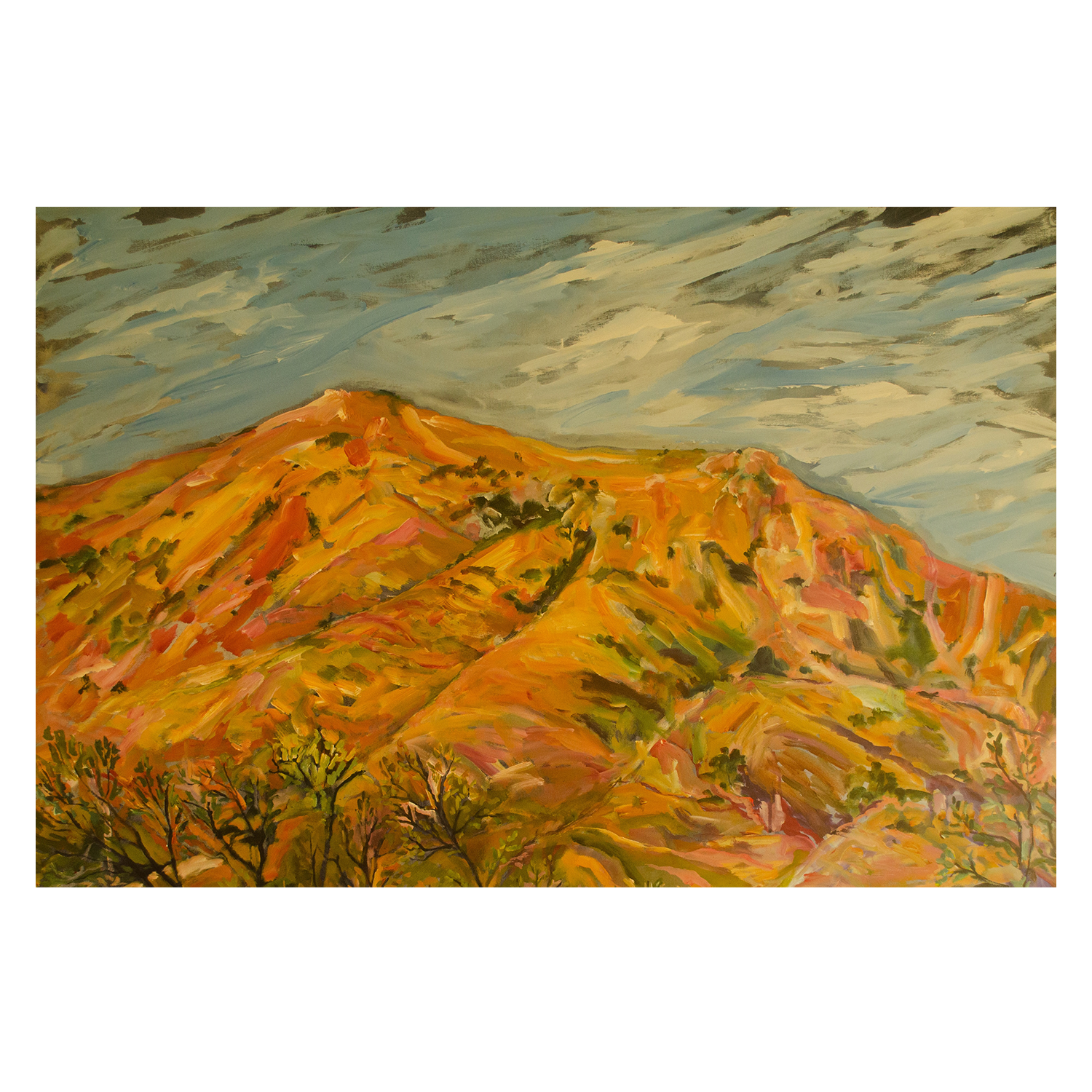 wall-art-print-canvas-poster-framed-Ancient Australia , By Christine Read-1