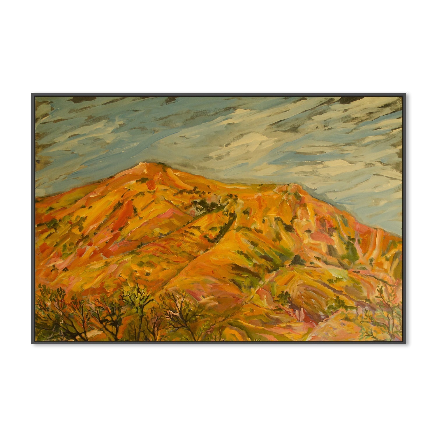 wall-art-print-canvas-poster-framed-Ancient Australia , By Christine Read-3