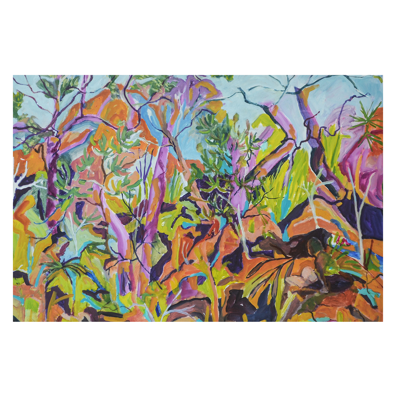 wall-art-print-canvas-poster-framed-Arakwal National Park , By Christine Read-1