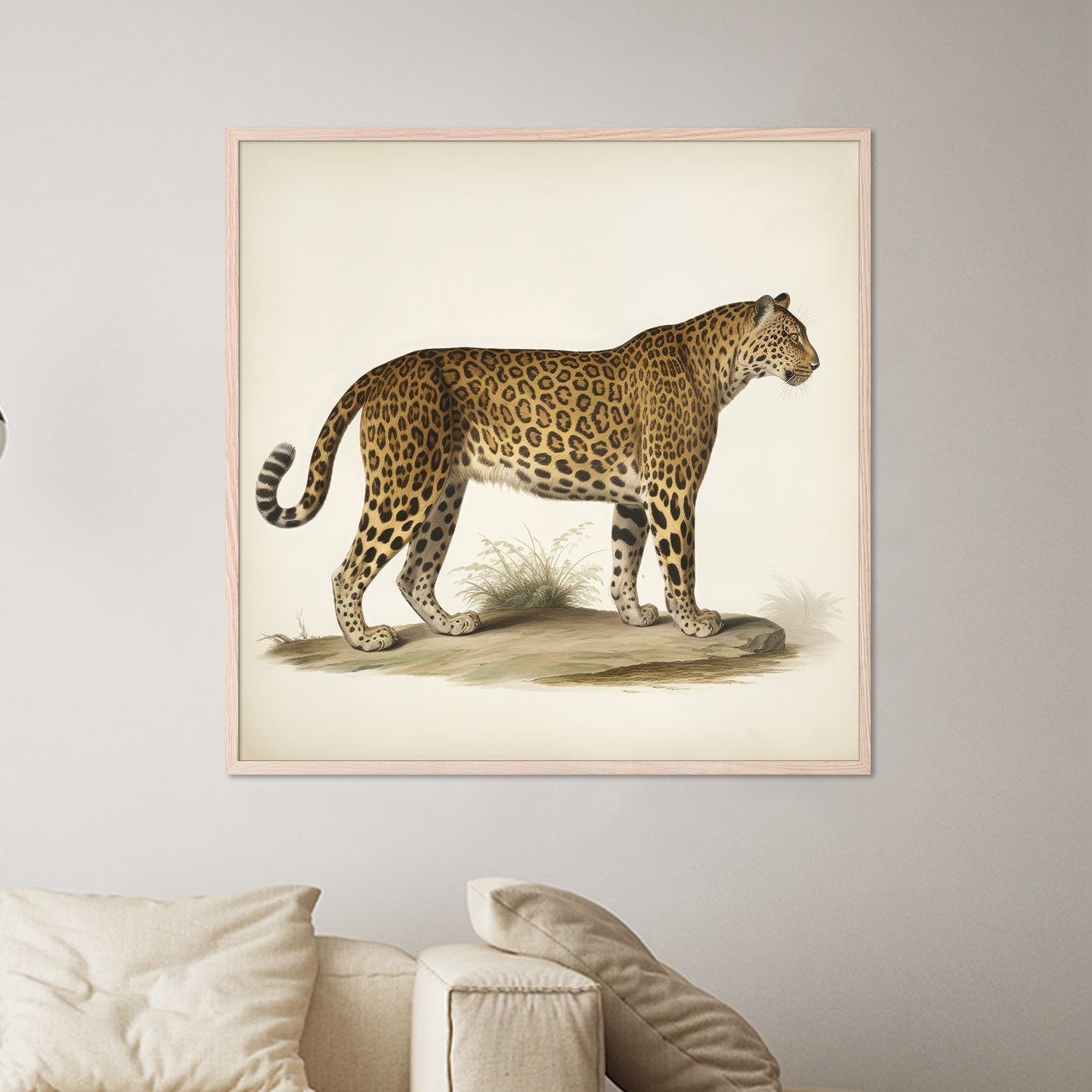 wall-art-print-canvas-poster-framed-Audubon Leopard, Style A-7
