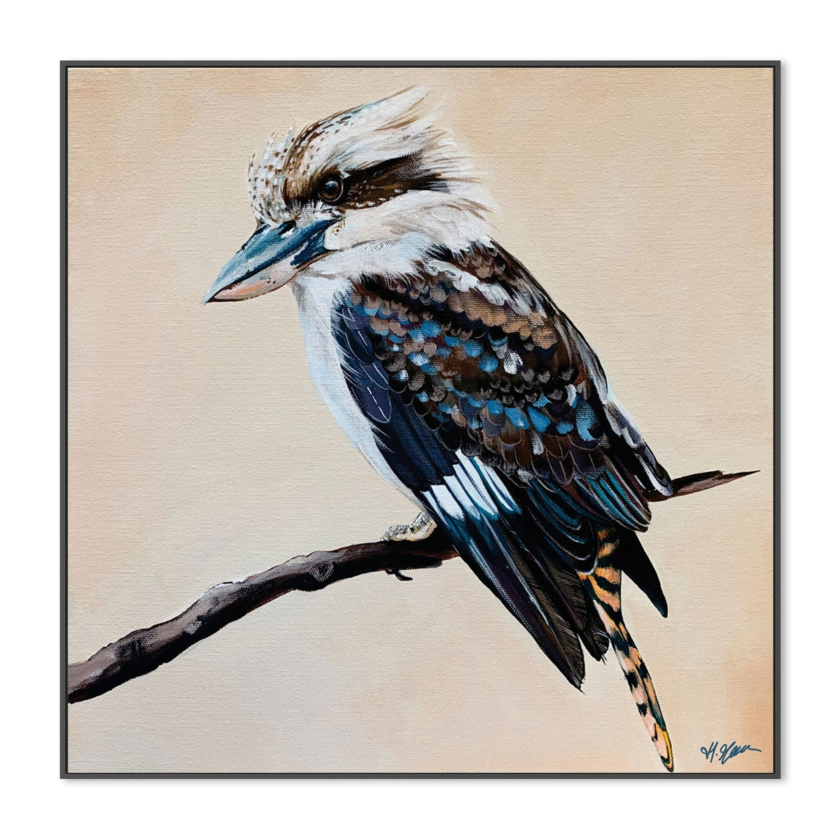August, Kookaburra Painting