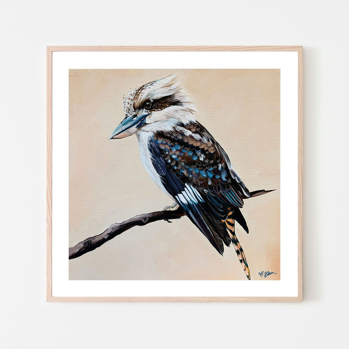 August, Kookaburra Painting