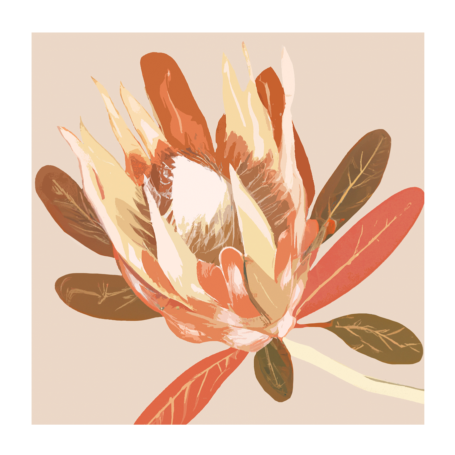 wall-art-print-canvas-poster-framed-Augusta Autumnal Protea , By Stacey Williams-1