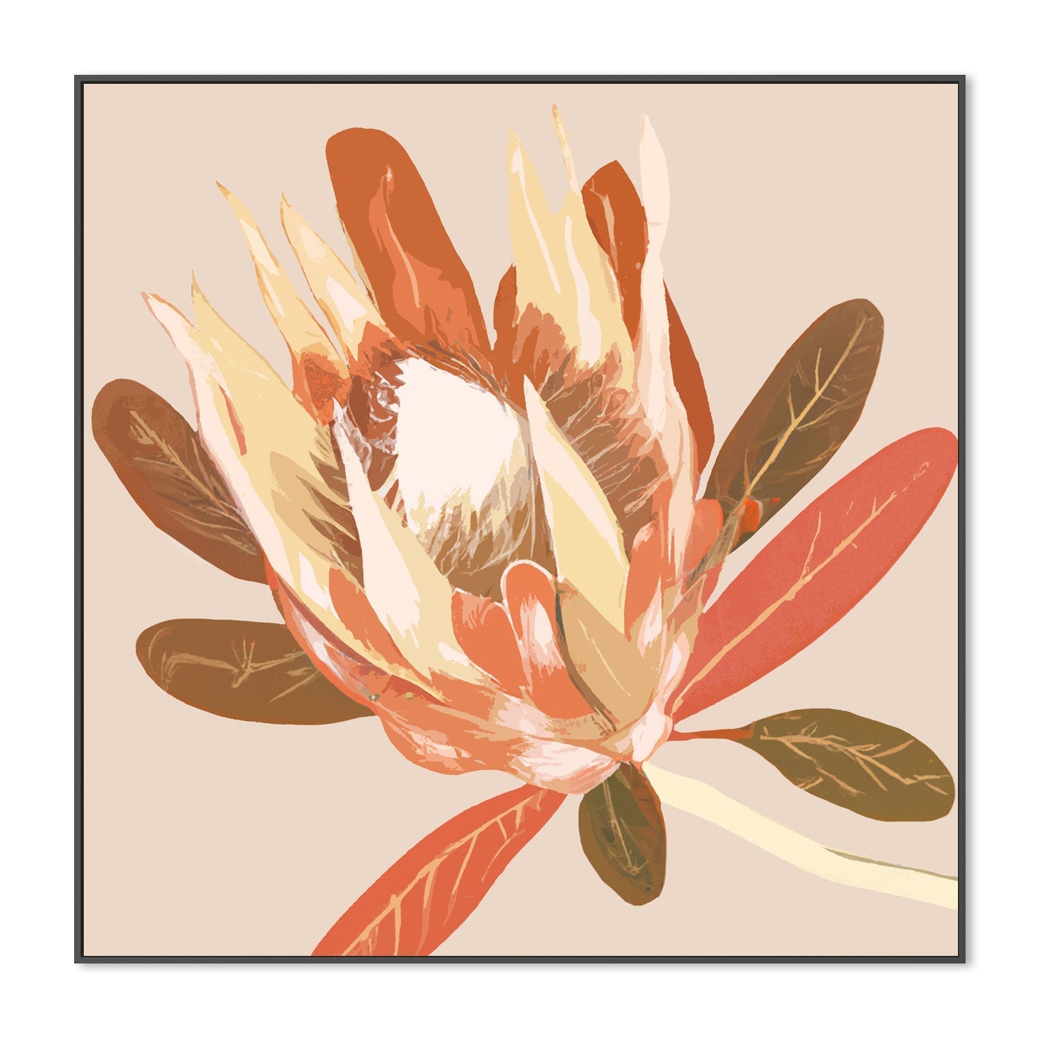 wall-art-print-canvas-poster-framed-Augusta Autumnal Protea , By Stacey Williams-3