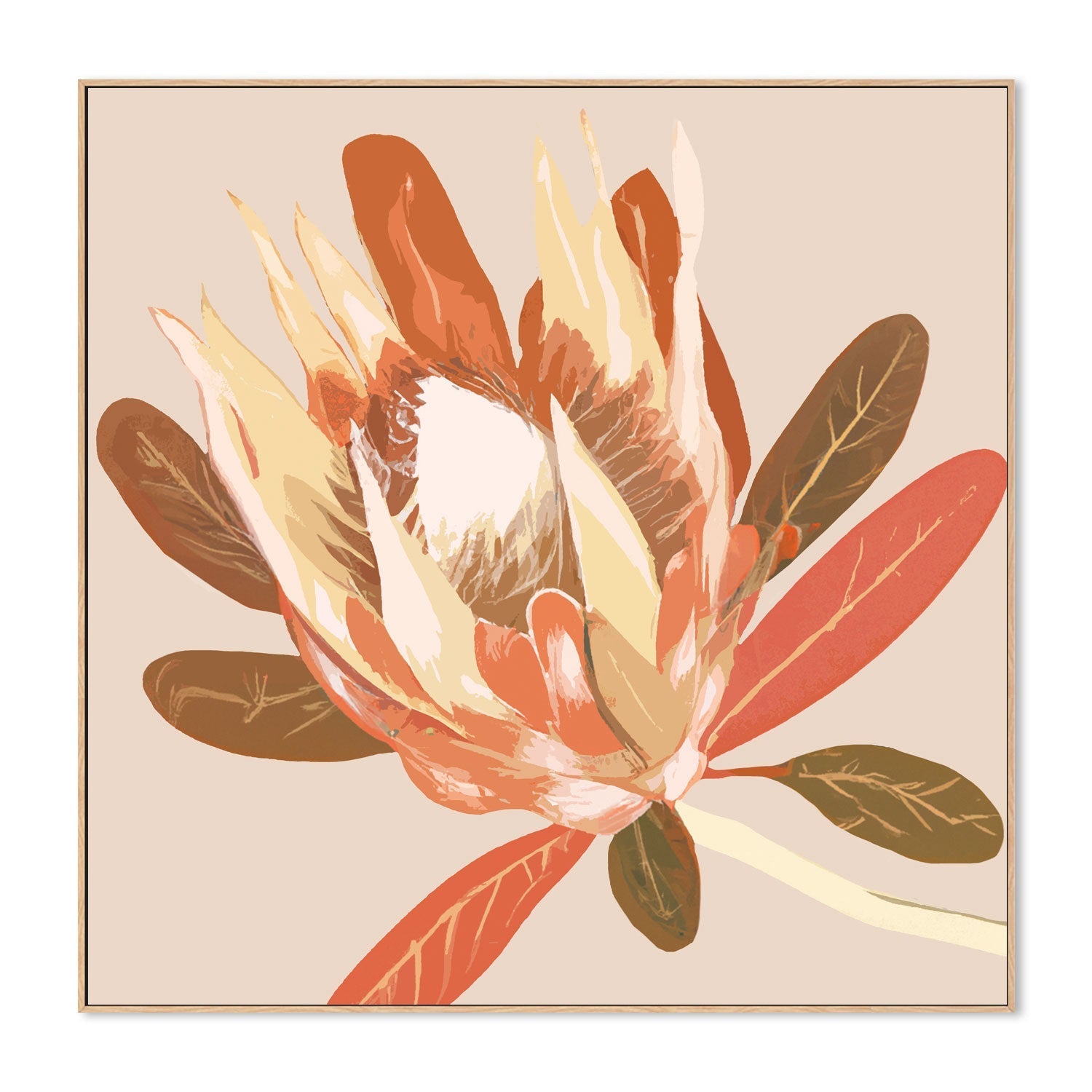 wall-art-print-canvas-poster-framed-Augusta Autumnal Protea , By Stacey Williams-4
